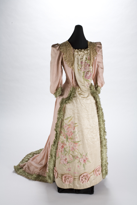 Image of Silk ball gown worn by Alsora Hayner Fry, with rhododendron design handpainted by Jessie Elliot, 1893